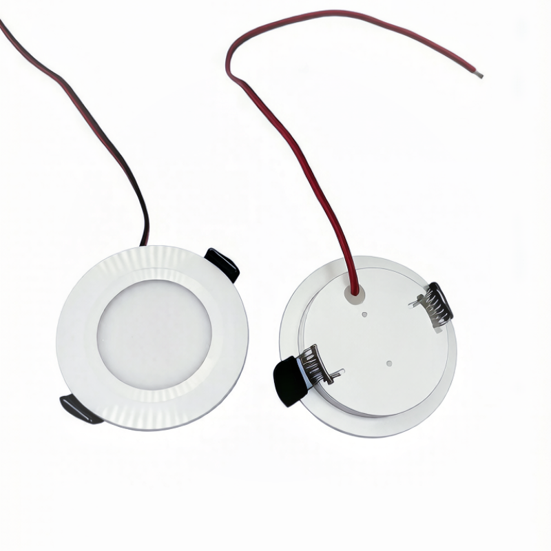 DC 12V LED small ceiling lamp. - Outdoor Power Brush のレビューと価格